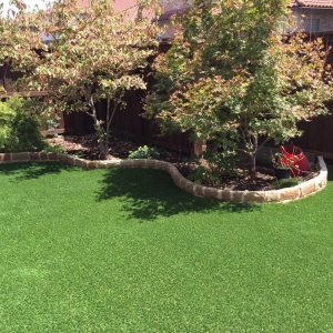 Photo of Lone Star Synthetic Turf