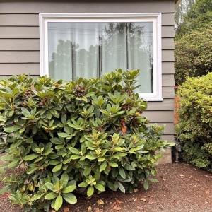 Photo of Off the Road Lawn Maintenance