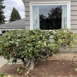 Photo of Off the Road Lawn Maintenance