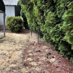 Photo of Off the Road Lawn Maintenance