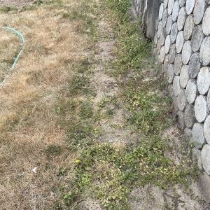 Photo of Off the Road Lawn Maintenance