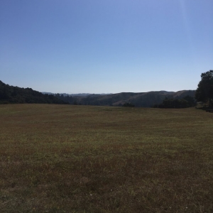 Photo of Pearson Ranch Weddings