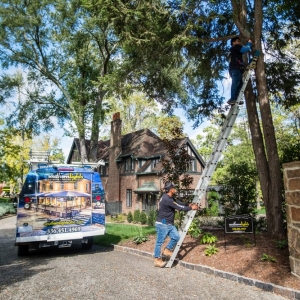 Photo of Southern Lights Outdoor Lighting & Audio