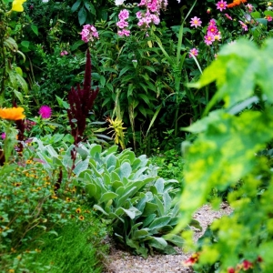 Photo of McGovern Sprinklers & Landscaping