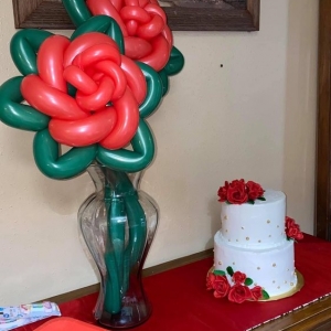 Photo of Today's Balloons