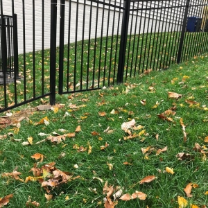 Baltimore Pyle Fence