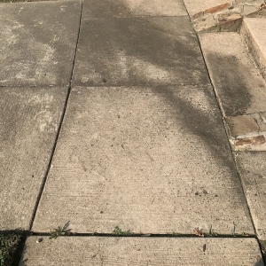 Photo of Polished Pressure and Soft Wash