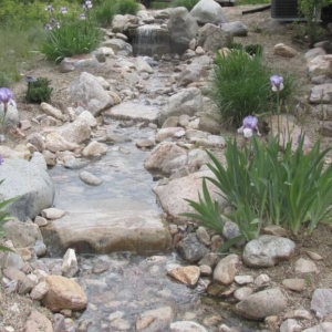 Photo of Premier Landscapes