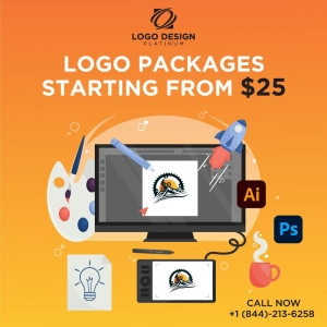 Photo of Logo Design Platinum