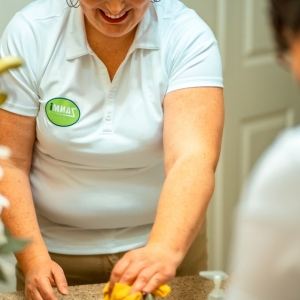 Photo of Zanmi Home Services