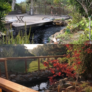 Photo of Groundswell Landscaping