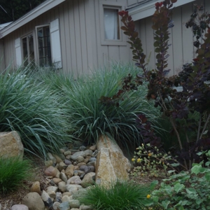 Photo of Groundswell Landscaping