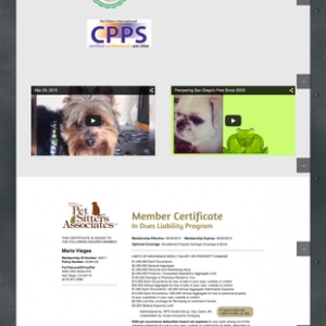 Photo of KriXis Consulting