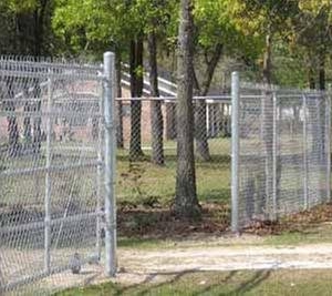 Photo of Creative Services & Fence