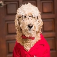 Photo of Dan Walker - State Farm Insurance Agent