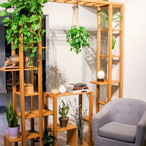 Photo of Lucky Fish Designs