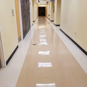 Photo of JDS Low Moisture Carpet Cleaning