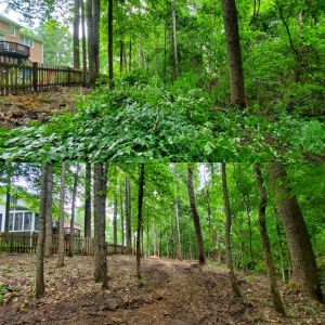 High Point Carolina Mulching