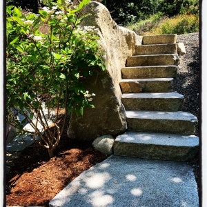 Photo of Borrowed Ground