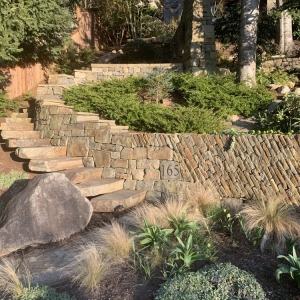 Photo of Borrowed Ground