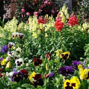 Photo of Mighty Mowers Lawn & Landscape