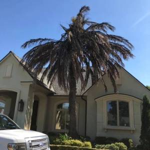 Photo of Mighty Mowers Lawn & Landscape