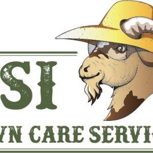 Photo of CSI Lawn Care Services