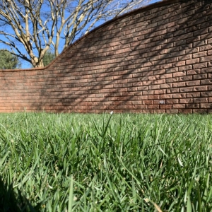Photo of CSI Lawn Care Services