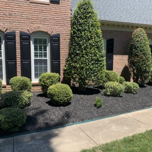 Photo of CSI Lawn Care Services