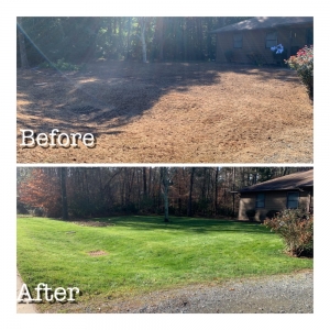 Photo of CSI Lawn Care Services