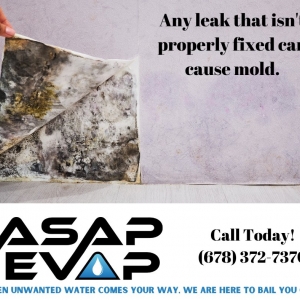 Photo of Asap Evap