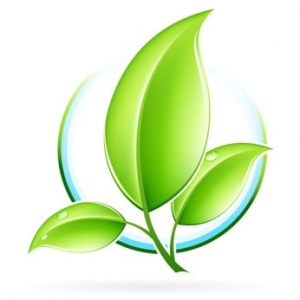 Photo of Perfect Cleaning Services