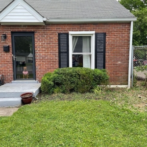 Photo of Alex Landscaping