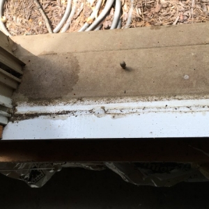 Photo of Crystaline Window Solutions