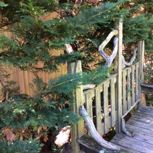 Photo of North Shore Fence