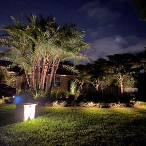 Photo of Apex Landscape Lighting