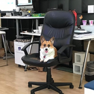Photo of White Hat Agency