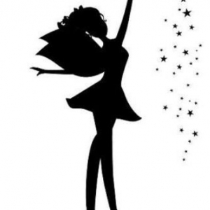 Centreville Credit Granting Fairy