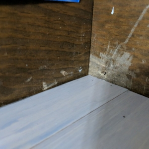 Photo of Floorville Construction Services