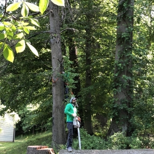 Photo of Home Services by A&D