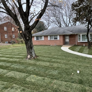 Photo of Home Services by A&D