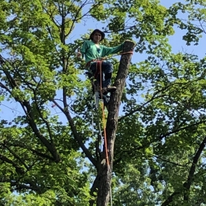 Photo of Home Services by A&D