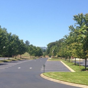 Photo of Carolina Striping & Sealcoating