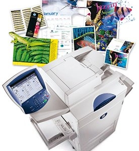 Photo of Ship It Now Business Centers
