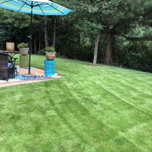 Fairburn The Grass Professionals