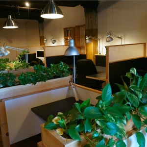 Photo of Not An Alternative - Brooklyn Coworking