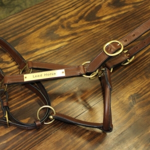 Photo of Lead Horse Marketing