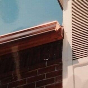 Photo of Gutter Factory