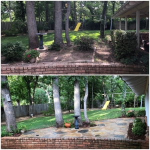 Photo of Fokus Landscape Services
