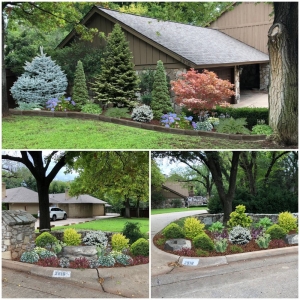 Photo of Fokus Landscape Services